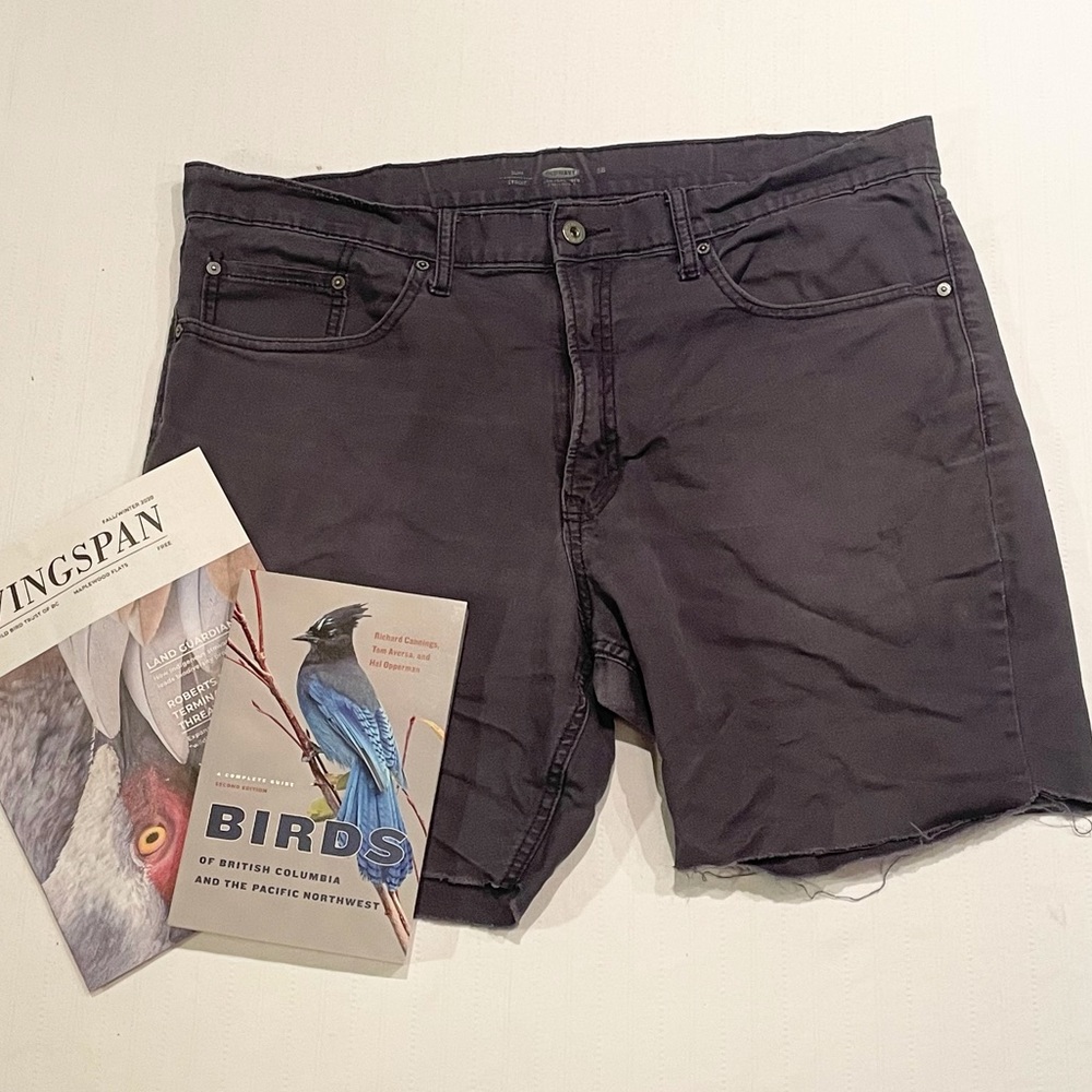 Old Navy grey cutoffs